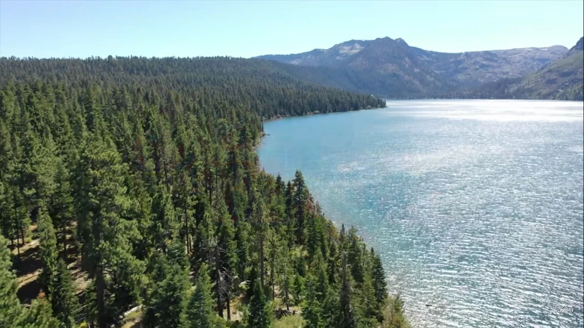 Crown Lake Brat Wiki Fandom