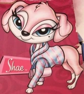 Shae.png (392 KB) Dogz