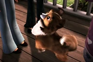 Annie (6).png (672 KB)