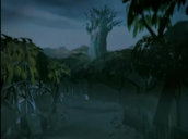 The Woods