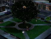Town Square