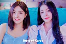 Taste of Korea concept photo 2