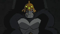 Gorrila Grodd