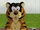 Mister Tawky Tawny