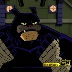 Justice Society of America, Batman: the Brave and the Bold Wiki