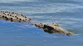 Crocodile River
