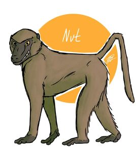 Nut by Vankrivan