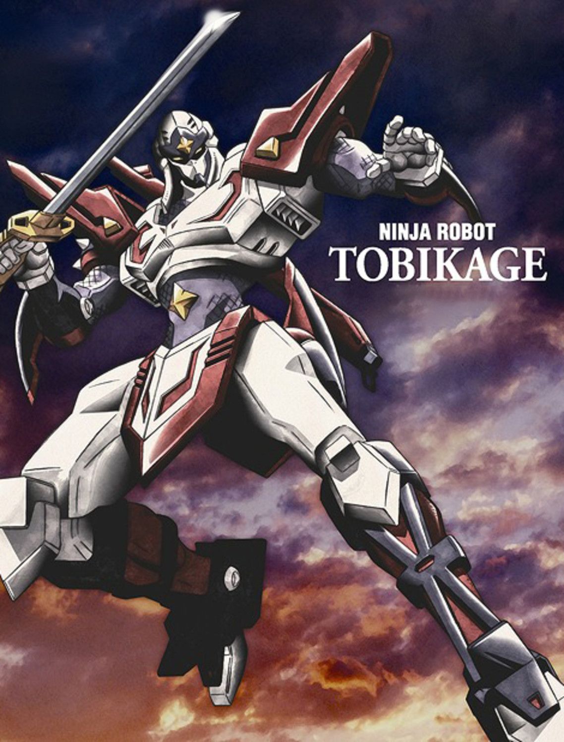 TOBIKAGE DVD-BOX 1 & 2★忍者戦士飛影★値下げ交渉OK TOBIKAGE DVD-BOX 1 & 2☆忍者戦士飛影☆値下げ交渉OK
