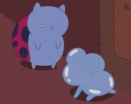 Catbug meets Jelly Kid