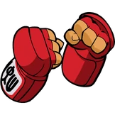 Furinkazan Gloves