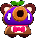 Mapache