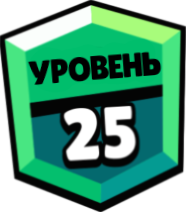 Лот 25 ранг