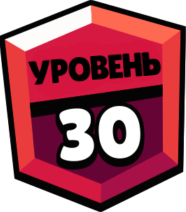 Лот 30 ранг