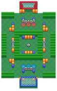Cancha pelona