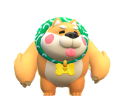 Shiba