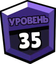 Лот 35 ранг