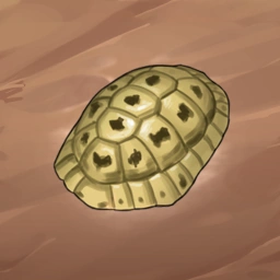 Turtle Shell | Breach Wanderers Wiki | Fandom