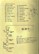 LabNotes4