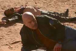 How the 'Ozymandias' Episode of Breaking Bad Showed Walter's Ruin Through  the Eyes of Others