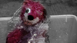 Pink Teddy Bear | Breaking Bad Wiki | Fandom