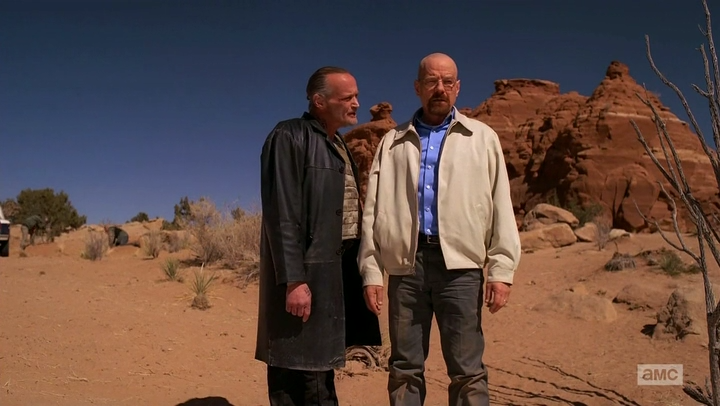 How the 'Ozymandias' Episode of Breaking Bad Showed Walter's Ruin Through  the Eyes of Others