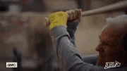 BCS 310 gif 04
