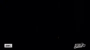 BCS 310 gif 03