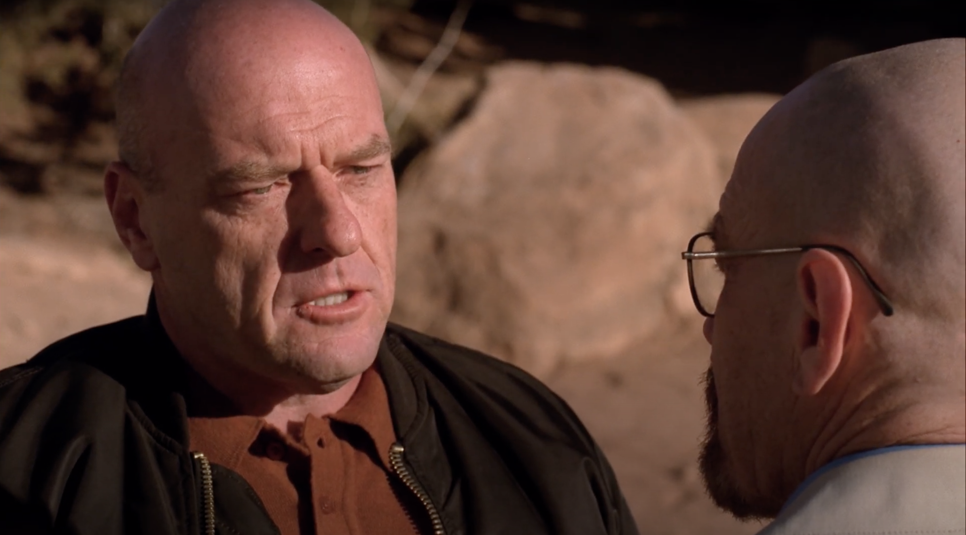 Hank Schrader Breaking Bad Wiki Fandom