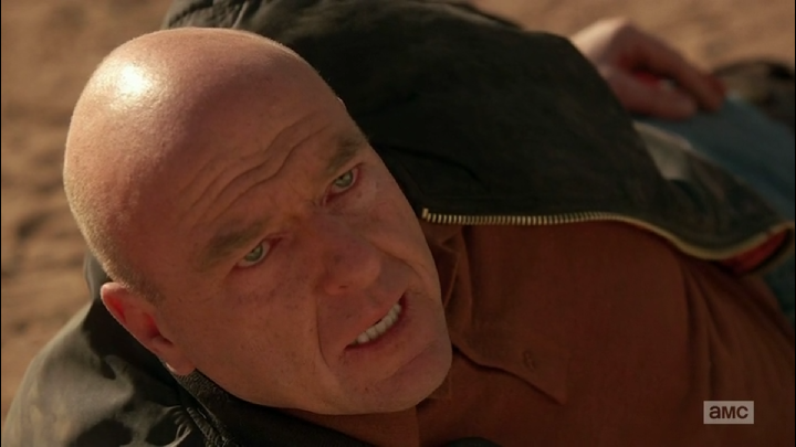 A Shot. - The Fall of Walter White. Ozymandias ~ Breaking