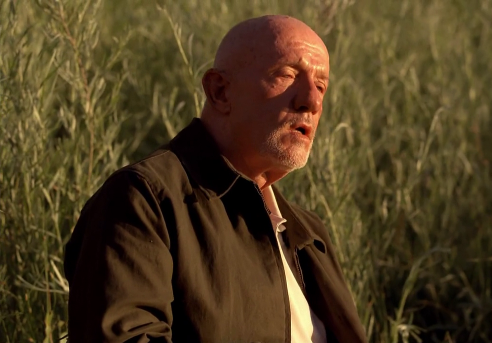Mike Ehrmantraut | Breaking Bad Wiki | Fandom