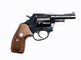 Charter Arms Bulldog