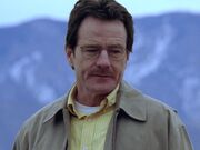 Walter White 2008