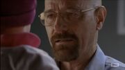 Walt holds Holly