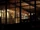 Lydia's House