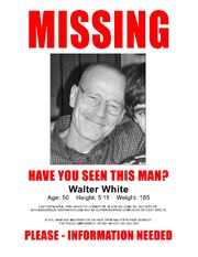 Walt Missing Poster