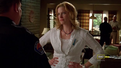 Skyler White | Breaking Bad Wiki | Fandom