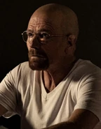 Walter White 6x11 "Breaking Bad"