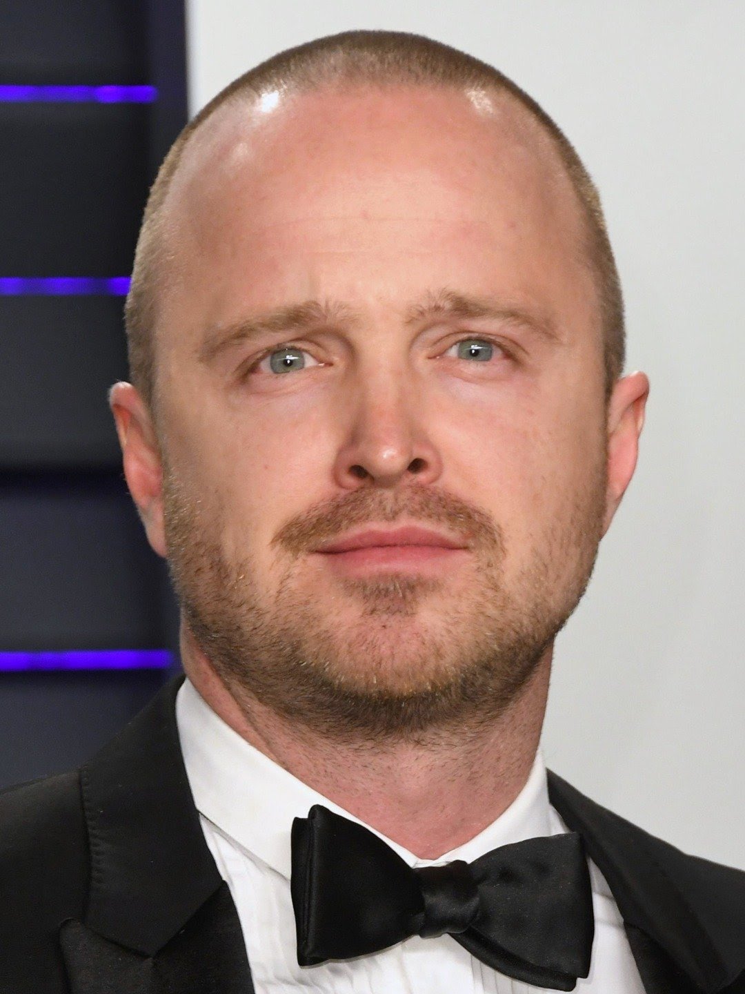 Aaron Paul, Breaking Bad Wiki