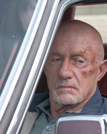 breaking bad wiki fandom