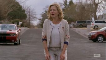 Skyler White Breaking Bad Wiki Fandom