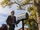 Better-call-saul-episode-210-jimmy-odenkirk-935.jpg