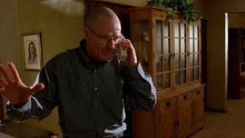 Walter hablando por teléfono...