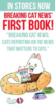 Buy the book today!