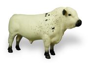 Whitebullbreyer