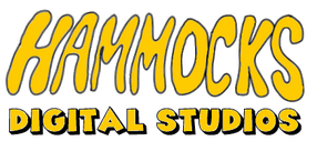 Hammocks digital studios logo by briancoukis88169 ddwi7co