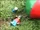 Heavenly Balls