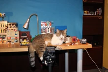 TFSBTS5.jpg (396 KB)