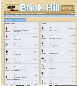 BrickHill: You can go onto banned user profiles?! 