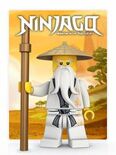 Themakaart Ninjago.jpg