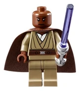 Windu-2012.jpg (18 КБ)